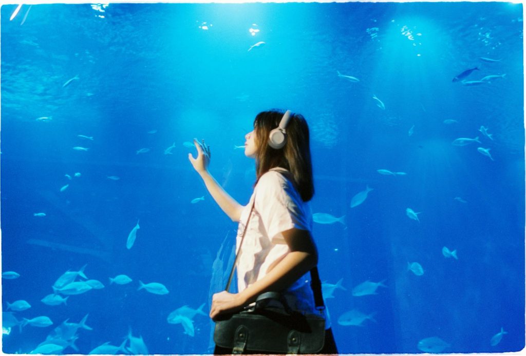 אקווריום המים של אוסקה יפן