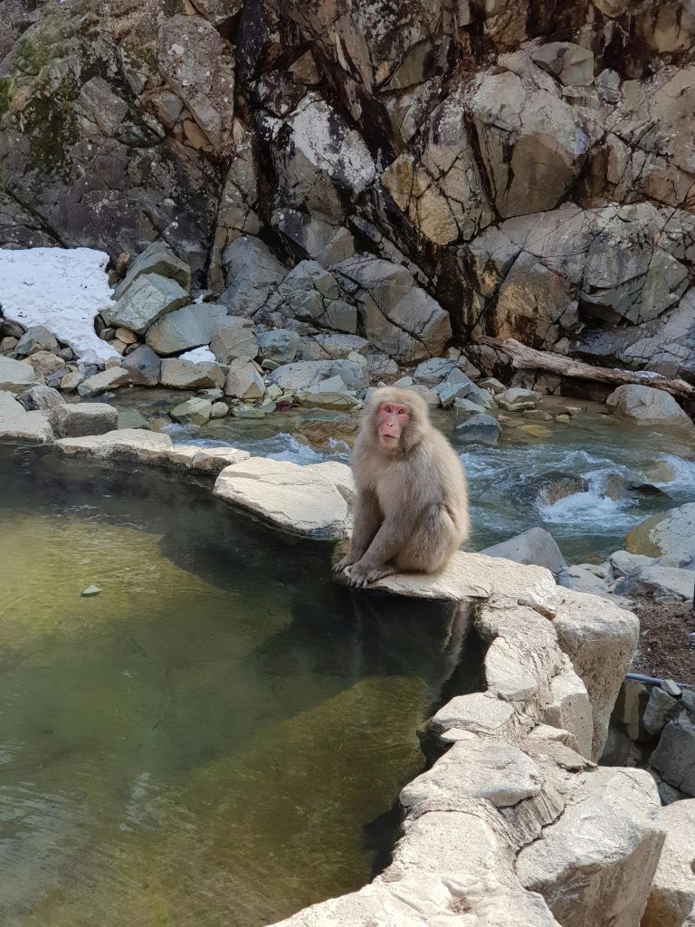 יפן אונסן Kusatsu 