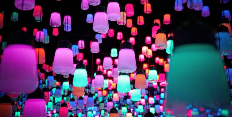 טים לאב בורדרלס יפן teamLab Borderless