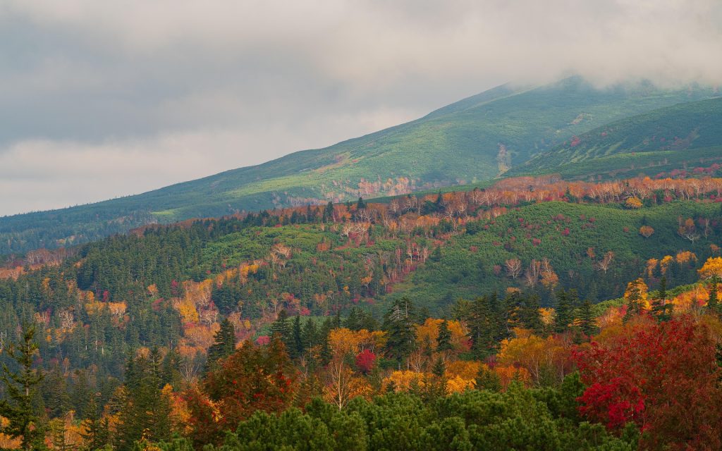 הוקאידו, יפן
