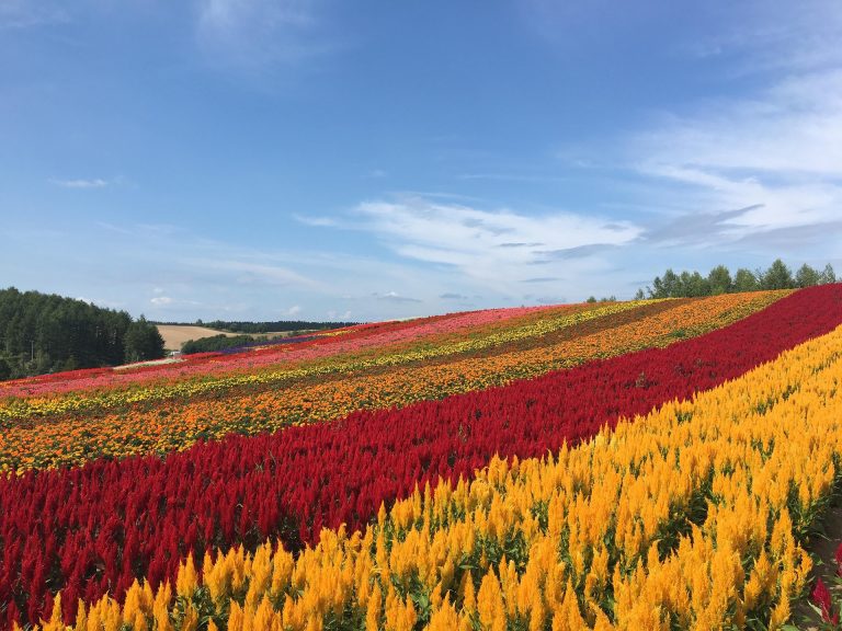 דירות נופש מומלצות בהוקאידו (Hokkaido) יפן